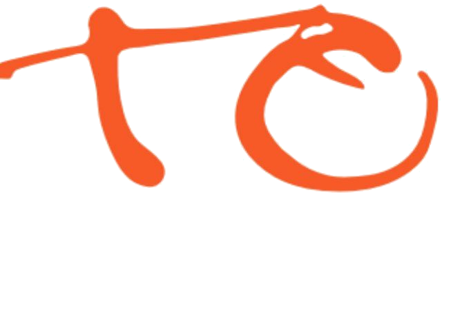tsow logo